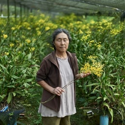 Hiroko Mitsuiki. São Miguel Arcanjo/SP, Brazil - 2018.