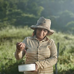 Dalva de Oliveira. Malacacheta/MG, Brazil - 2019.