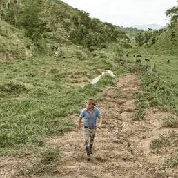 Hélio Pereira. Malacacheta/MG, Brazil - 2019.