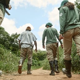 Technician Assistants. Poté/MG, Brazil - 2019.