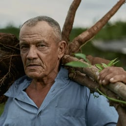 Almiro Dias. Malacacheta/MG, Brazil - 2019.