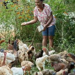 Maria Francisco. Poté/MG, Brazil - 2019.