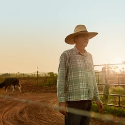 Alessandro Rodrigues. NINHO Orgânico - Fazenda Reta Grande; Coroados/SP, Brazil - 2019.