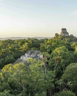 View of the jungle and ancient pyramids of Tikal, Guatemala.