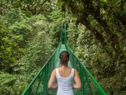 research shows down time for rest is important for brain