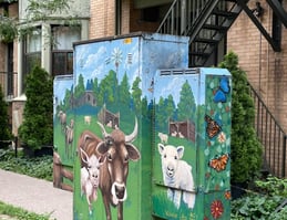 Mural on electrical box