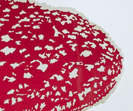 Close up of the red speckled mushroom cap on a handmade original silk screen art print of an amanita fungus 