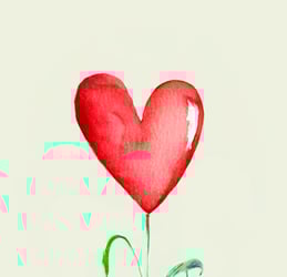 music cover singer fabiano medeiros a red heart shaped flower with a green leaf