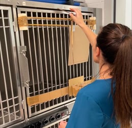 women_testing_cardboard_wood_door_prototype