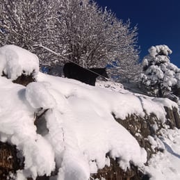 Neige aux gîtes à Magnaudès