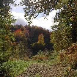 Automne à Magnaudès