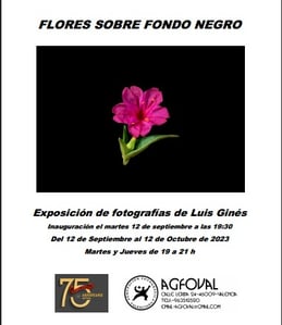 Exposicion Luis Gines