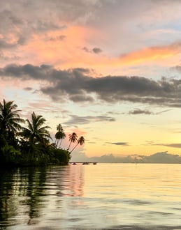 Sunset casting warm light over a palm tree-lined beach on Taha'a island, French Polynesia.