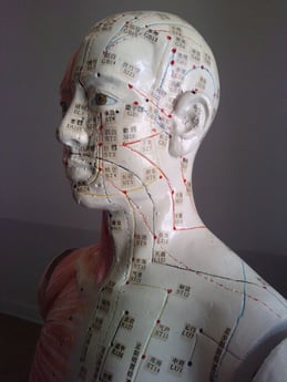 Marc DENOZI méridiens d'acupuncture