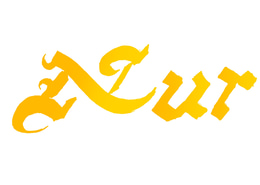 Nur Paintings logo