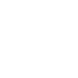 JS Digital Pulse logo