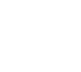 Smart Irrigation Company logo