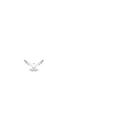 KIKI VOGLER logo
