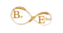 Sei Echo logo