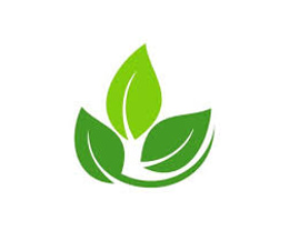 Blessed Skin logo