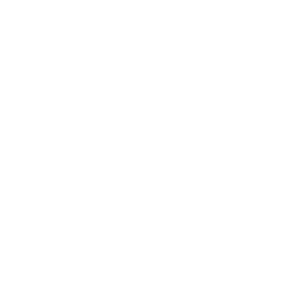 Lead club logo
