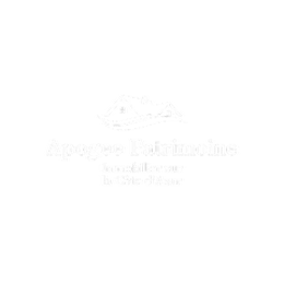 Apogee patrimoine logo