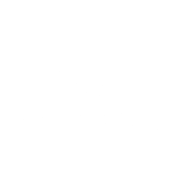 Eagleview Restoration logo