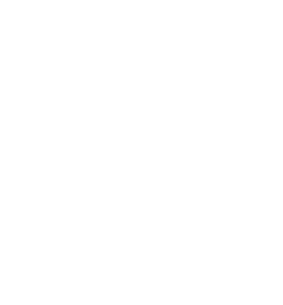 Darchester logo