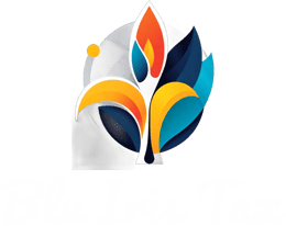 Blu Iris tax logo