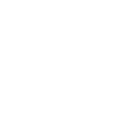 MMWI logo