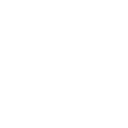 Instituto Estético Débora Marcheti logo