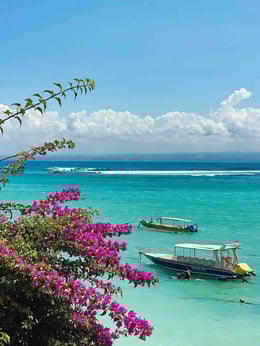 vue du lagon de Nusa Lembongan avec des fleurs au premier plan et vagues au large. On aperçoit aussi quelques bateaux.