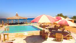 Swimming pool with sea view on the beach holidays in Egypt