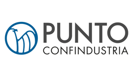 Punto Confindustria titolare del progetto Welcome to stem in Polesine