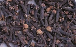 Syzygium aromaticum - clou de girofle