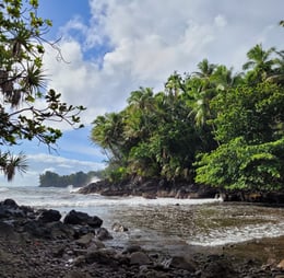 Onomea bay trail