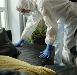 technicien en traitement anti punaises de lit à domicile