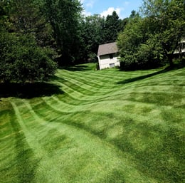 professional mowing