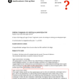 seksjonssjef Hanne Fisknes, Connie Lienm,Christer T. Laarsen،Statsforvalteren i Oslo og Viken