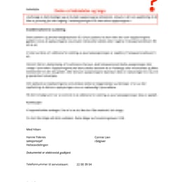 seksjonssjef Hanne Fisknes, Connie Lienm,Christer T. Laarsen،Statsforvalteren i Oslo og Viken