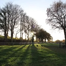 lever de soleil à l'association le cheval un guide