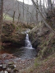 Le torrent en automne