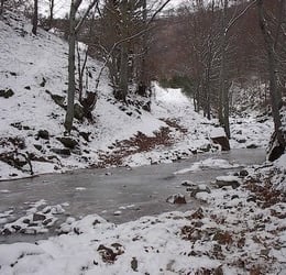 Le torrent gelée