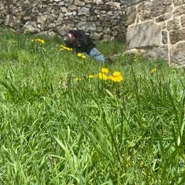 Prairie Magnaudès