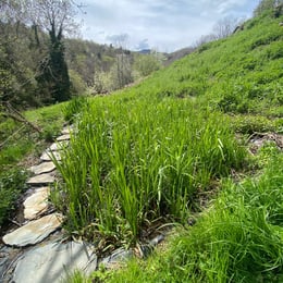 Chemins des gîtes