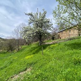 les gites de Magnaudès