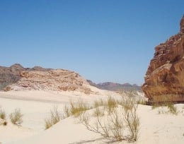 Desert safari Bedouin star