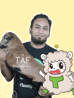 a man holding a sheep in front of a yellow background
