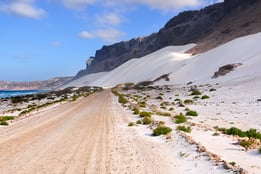 a dirt road with a dirt road and mountains in the background