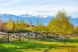a fenced in area with a fenced in area with grass and trees